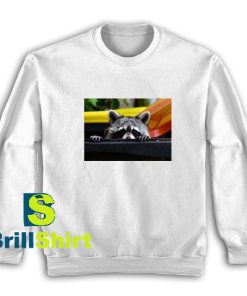 Raccoons-Sweatshirt